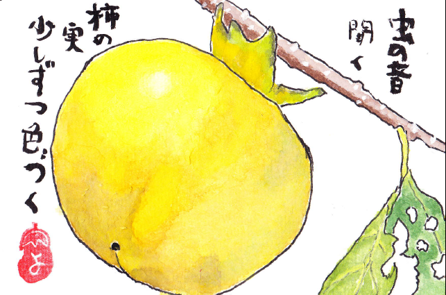 �g�傷��
